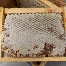 hoe wordt bijenwas gemaakt