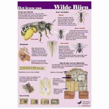 Poster Het leven van wilde bijen - paarse achtergrond, geplasticificeerd