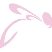 Nepeta racemosa Amelia - Roze Kattenkruid